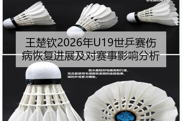 王楚钦2026年U19世乒赛伤病恢复进展及对赛事影响分析