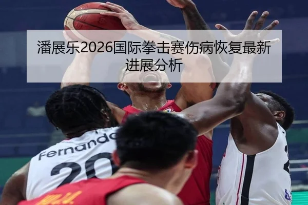 潘展乐2026国际拳击赛伤病恢复最新进展分析